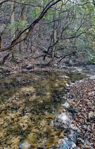 2197 Damascus Road, Ball Ground, GA 30107