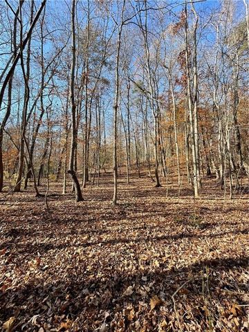 2197 Damascus Road, Ball Ground, GA 30107