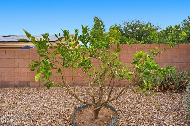 1319 E JARDIN Drive, Casa Grande, AZ 85122