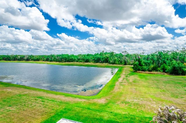 17132 WHITE MANGROVE DRIVE, Wimauma, FL 33598