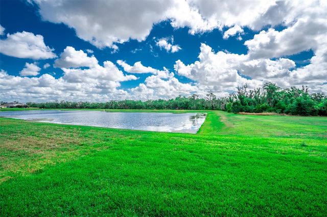 17132 WHITE MANGROVE DRIVE, Wimauma, FL 33598