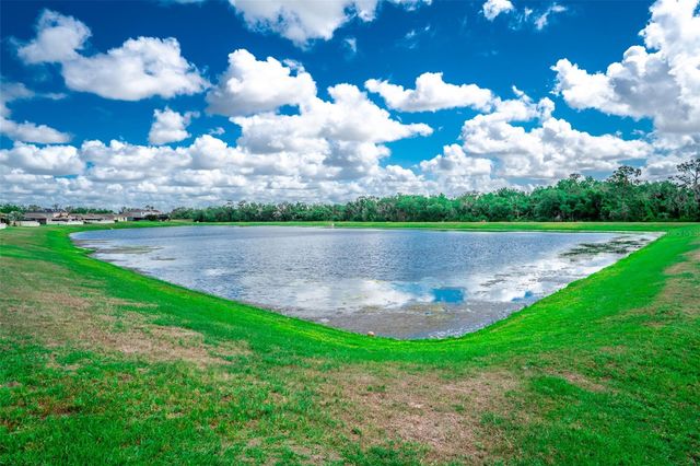 17132 WHITE MANGROVE DRIVE, Wimauma, FL 33598