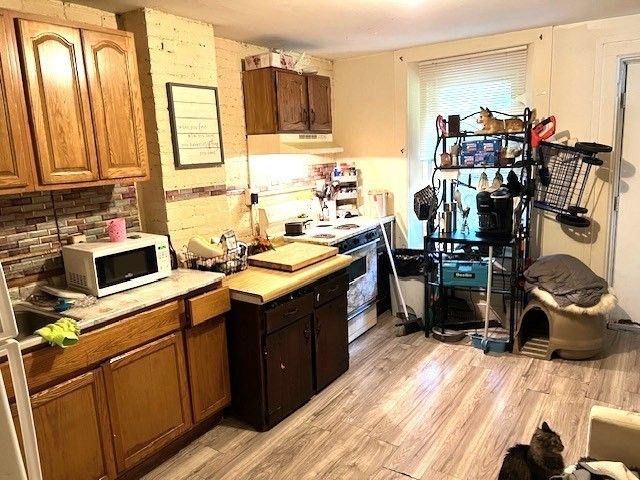 40 Byers St, Springfield, MA 01105