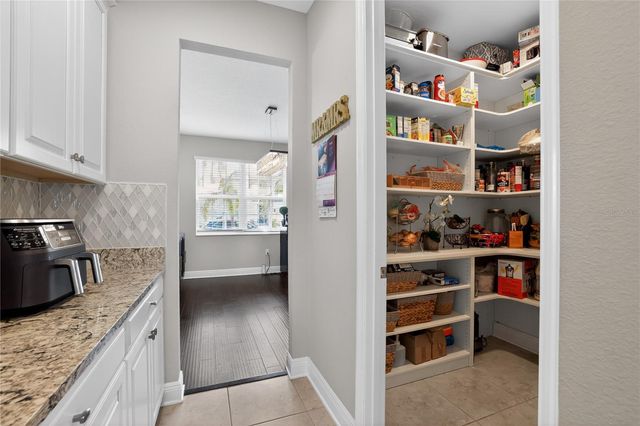 3103 MARINE GRASS DRIVE, Wimauma, FL 33598