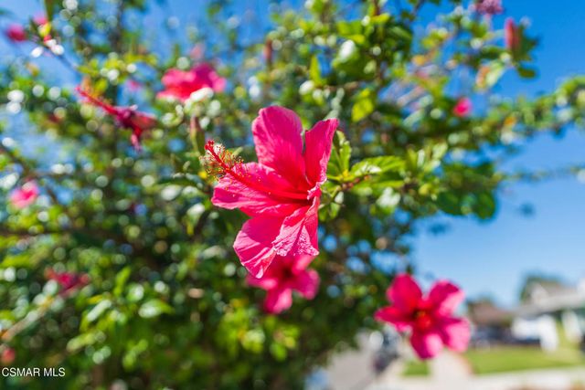 2517 E Phyllis Street, Simi Valley, CA 93065