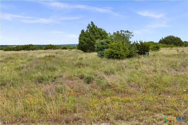 Lot 65 Three Creeks Drive, Bertram, TX 78605