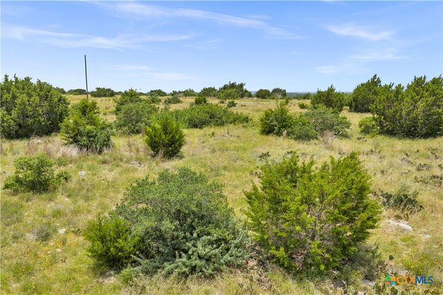 Lot 65 Three Creeks Drive, Bertram, TX 78605