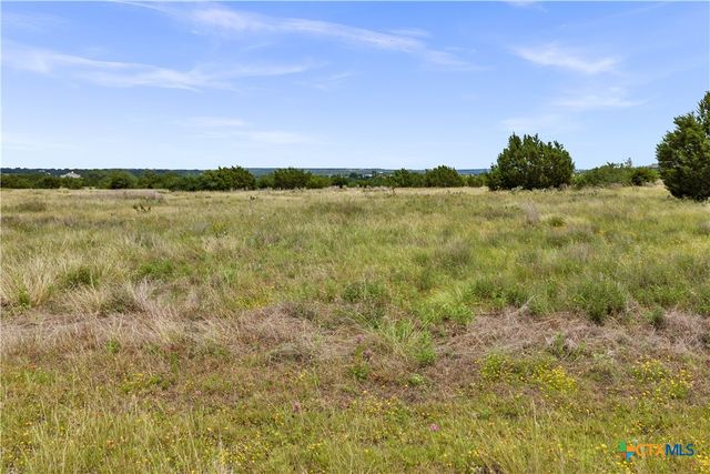 Lot 65 Three Creeks Drive, Bertram, TX 78605