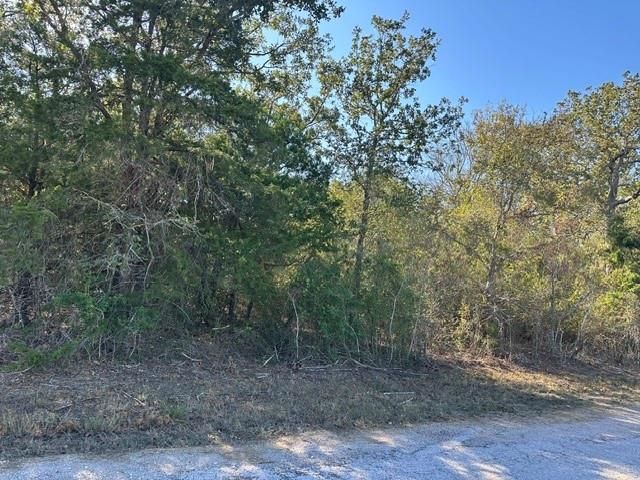 223 Houston Avenue, Somerville, TX 77879