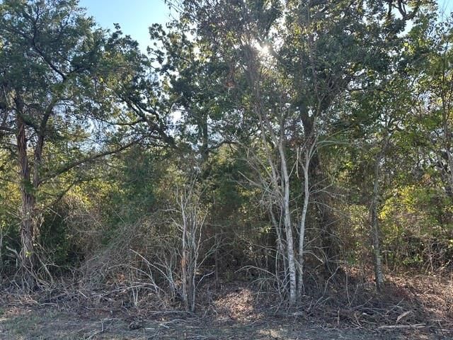 223 Houston Avenue, Somerville, TX 77879