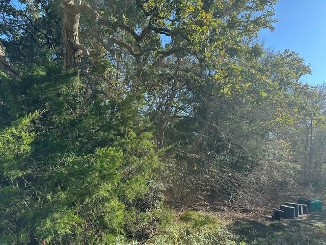 223 Houston Avenue, Somerville, TX 77879