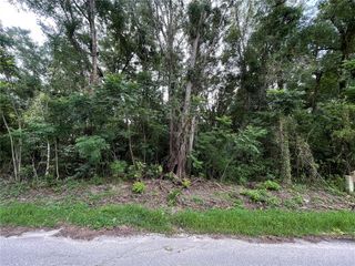 0 SE 135 PLACE, Summerfield, FL 34491