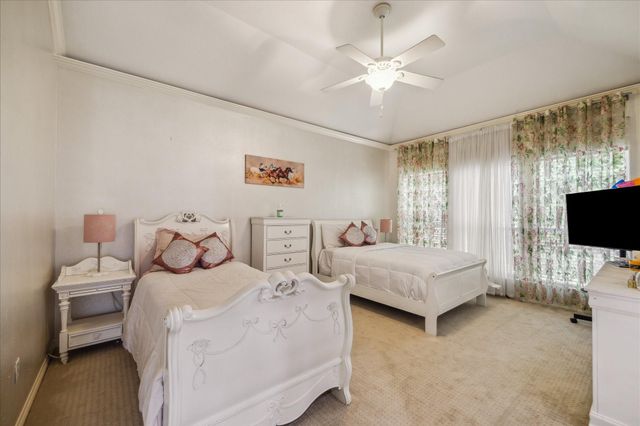 14 Lake Mist Court, Sugar Land, TX 77479