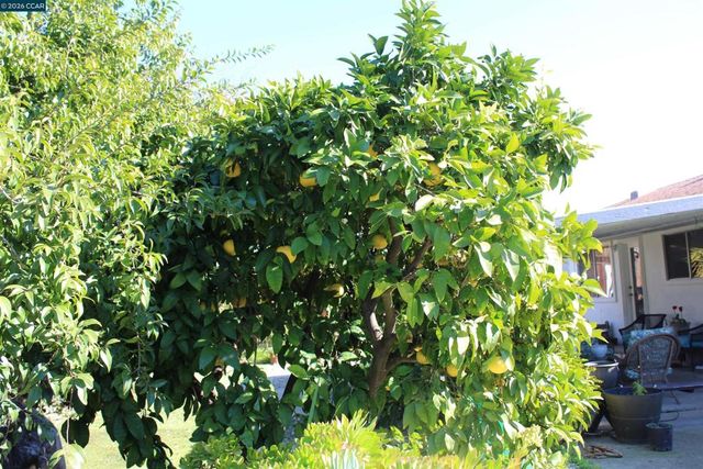 330 W Cypress Rd, Oakley, CA 94561