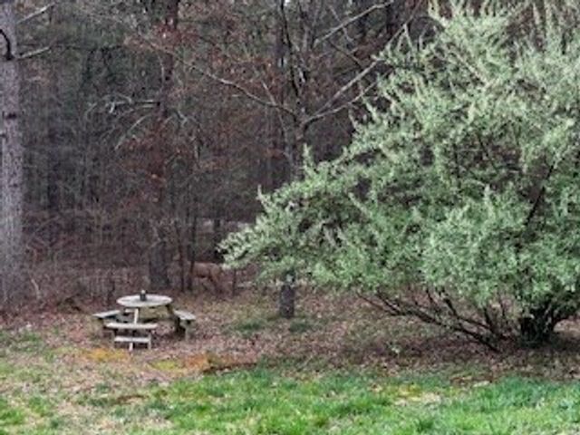 851 Stansbury Mountain Road, Copperhill, TN 37317