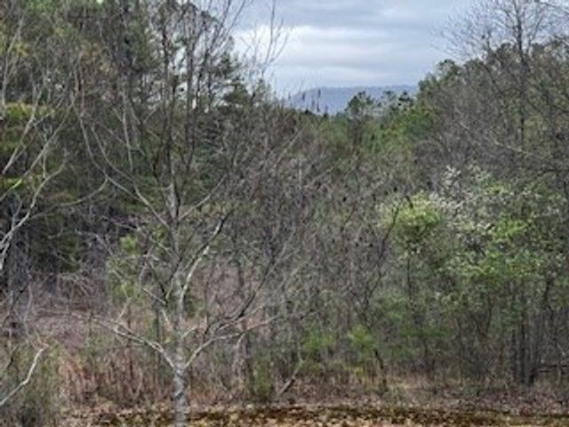 851 Stansbury Mountain Road, Copperhill, TN 37317