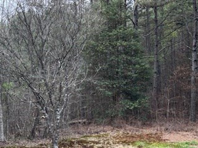 851 Stansbury Mountain Road, Copperhill, TN 37317