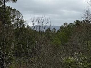 851 Stansbury Mountain Road, Copperhill, TN 37317