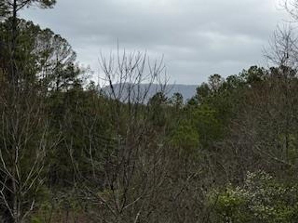 851 Stansbury Mountain Road, Copperhill, TN 37317