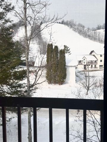 6520 Schuss Mountain Lane, Custer Twp, MI 49659