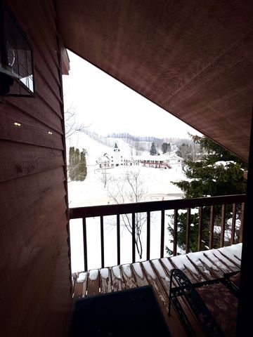 6520 Schuss Mountain Lane, Custer Twp, MI 49659