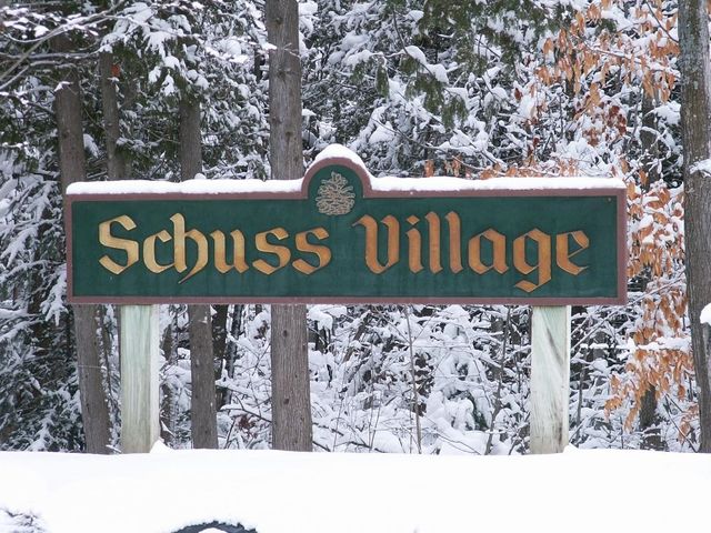 6520 Schuss Mountain Lane, Custer Twp, MI 49659