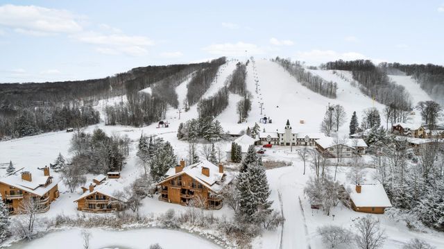 6520 Schuss Mountain Lane, Custer Twp, MI 49659