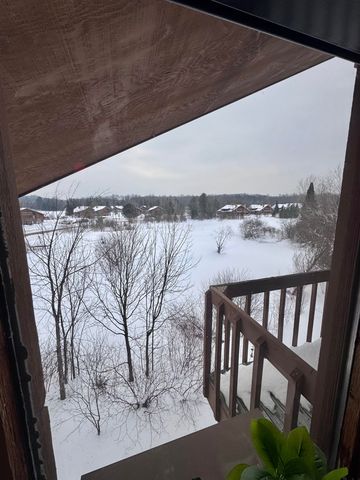 6520 Schuss Mountain Lane, Custer Twp, MI 49659