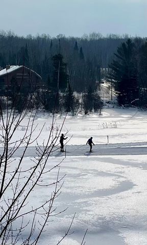 6520 Schuss Mountain Lane, Custer Twp, MI 49659