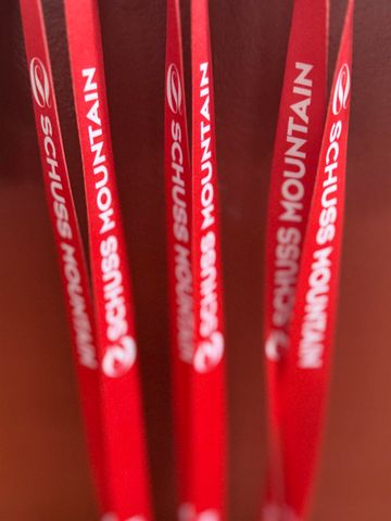 6520 Schuss Mountain Lane, Custer Twp, MI 49659