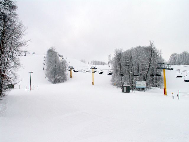 6520 Schuss Mountain Lane, Custer Twp, MI 49659