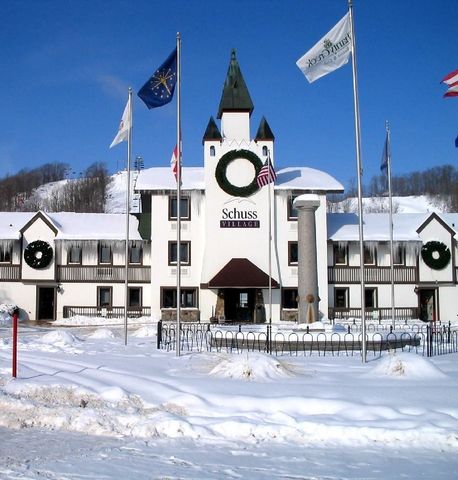 6520 Schuss Mountain Lane, Custer Twp, MI 49659