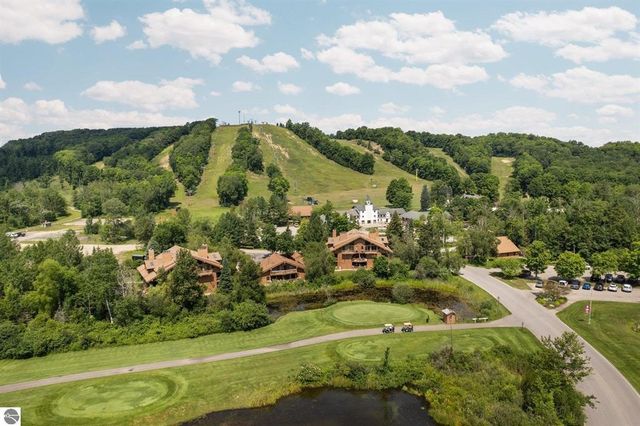 6520 Schuss Mountain Lane, Custer Twp, MI 49659