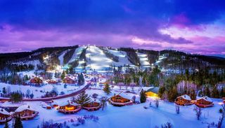 6520 Schuss Mountain Lane, Custer Twp, MI 49659