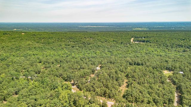 61 Winding Branch Lane, Conway, AR 72032