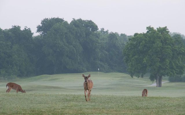 1101 Grove BLVD 304, Austin, TX 78741