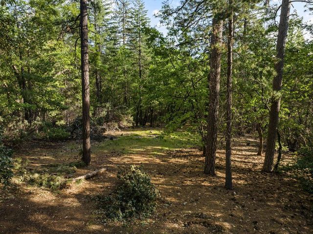 6221 Pine Needle Ln, Placerville, CA 95667
