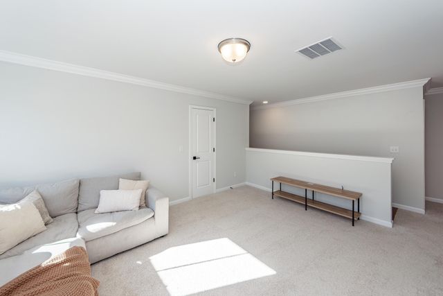 335 Hillman Trail Drive Drive, Moncks Corner, SC 29461