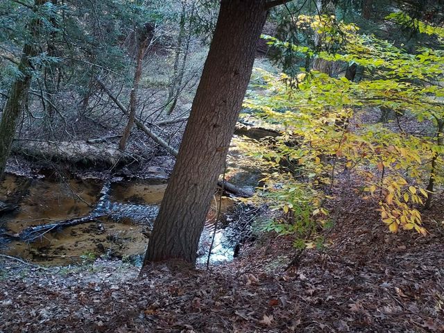6068 S 142nd Avenue, Rothbury, MI 49452
