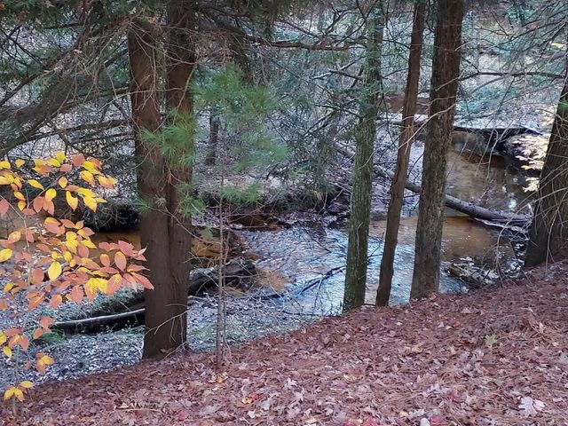 6068 S 142nd Avenue, Rothbury, MI 49452