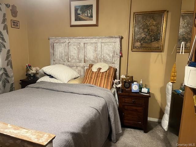 8667 108th Street, Richmond Hill North, NY 11418