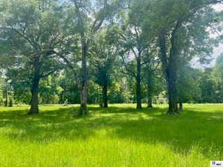 00 HANKINS LANE, Oak Grove, LA 71263