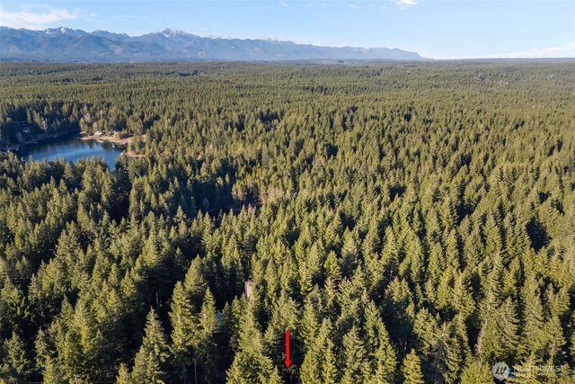 50 NE Cedar Lane, Tahuya, WA 98588