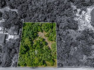 12766 W Cornflower Drive, Crystal River, FL 34428