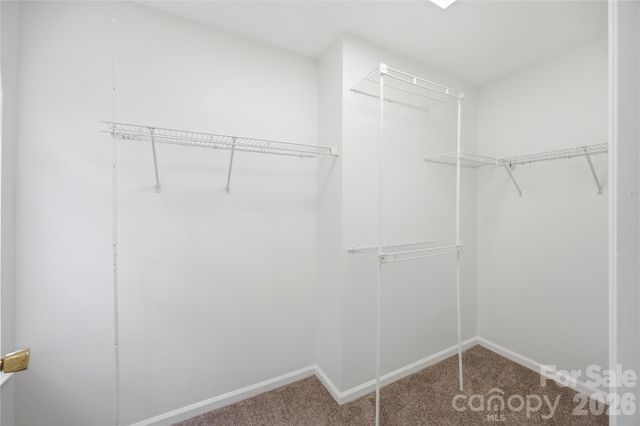 8802 Tarpan Court, Charlotte, NC 28216