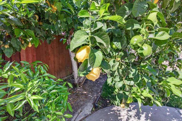 2040 Iberis Ct, Tracy, CA 95376