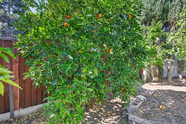 2040 Iberis Ct, Tracy, CA 95376