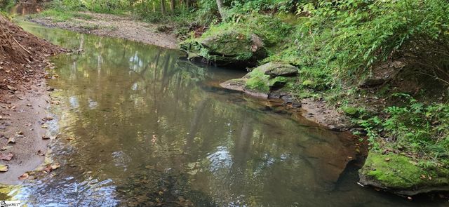 00 Little Africa Road, Campobello, SC 29322