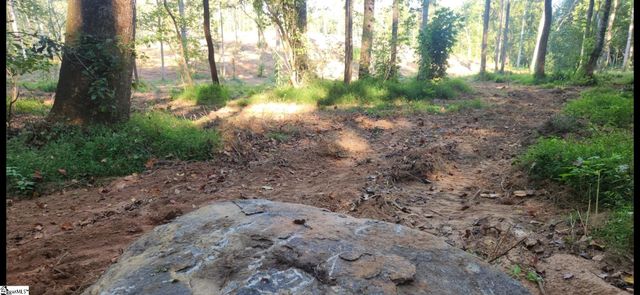 00 Little Africa Road, Campobello, SC 29322