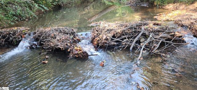 00 Little Africa Road, Campobello, SC 29322